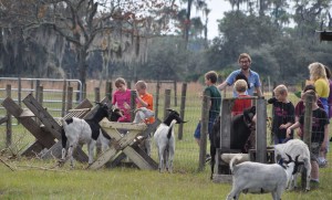 Sustainability Training Central Florida - Gardening Polk County - Permaculture Lake Wales - HEART Institute Lake Wales, FL - heart-elementary-field-trip-animals-3