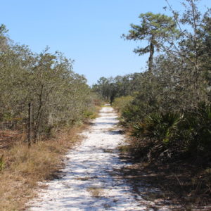 dirt road - HEART Village - Lake Wales, FL - Missionary training - cultural adaptation, problem solving, and community development