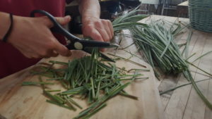 cutting green food - HEART Village - Lake Wales, FL - Missionary training - cultural adaptation, problem solving, and community development