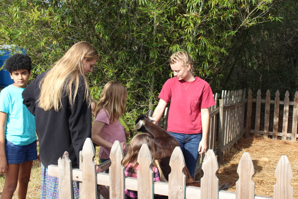 Children and adults pet a young goat at Garden Celebration