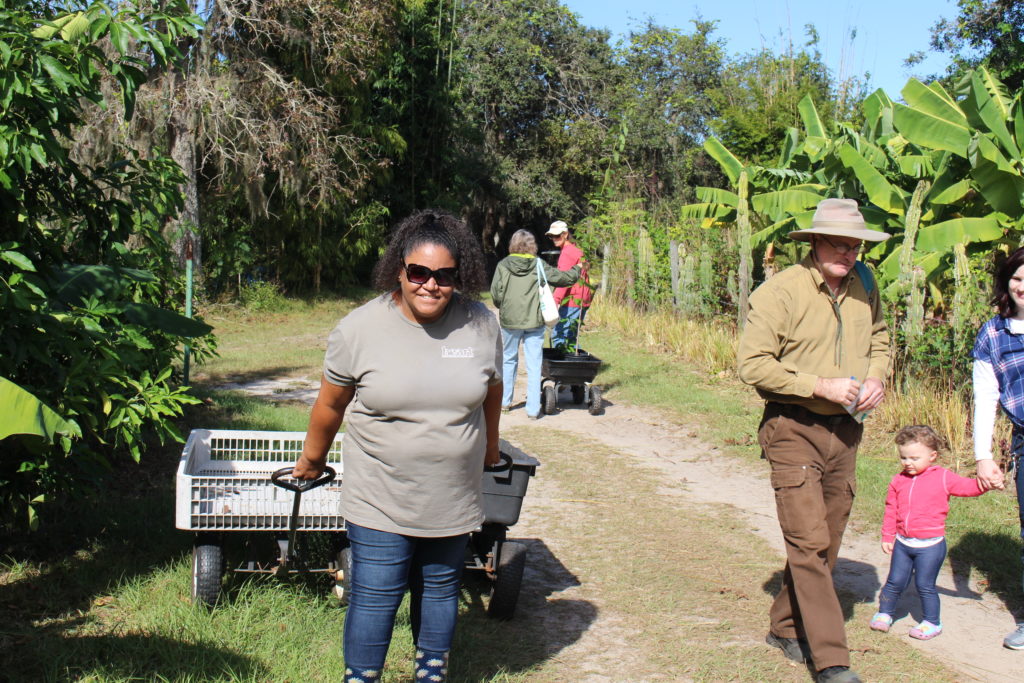 Amy, a regular volunteer, pulling carts for nursery customers at Garden Celebration.